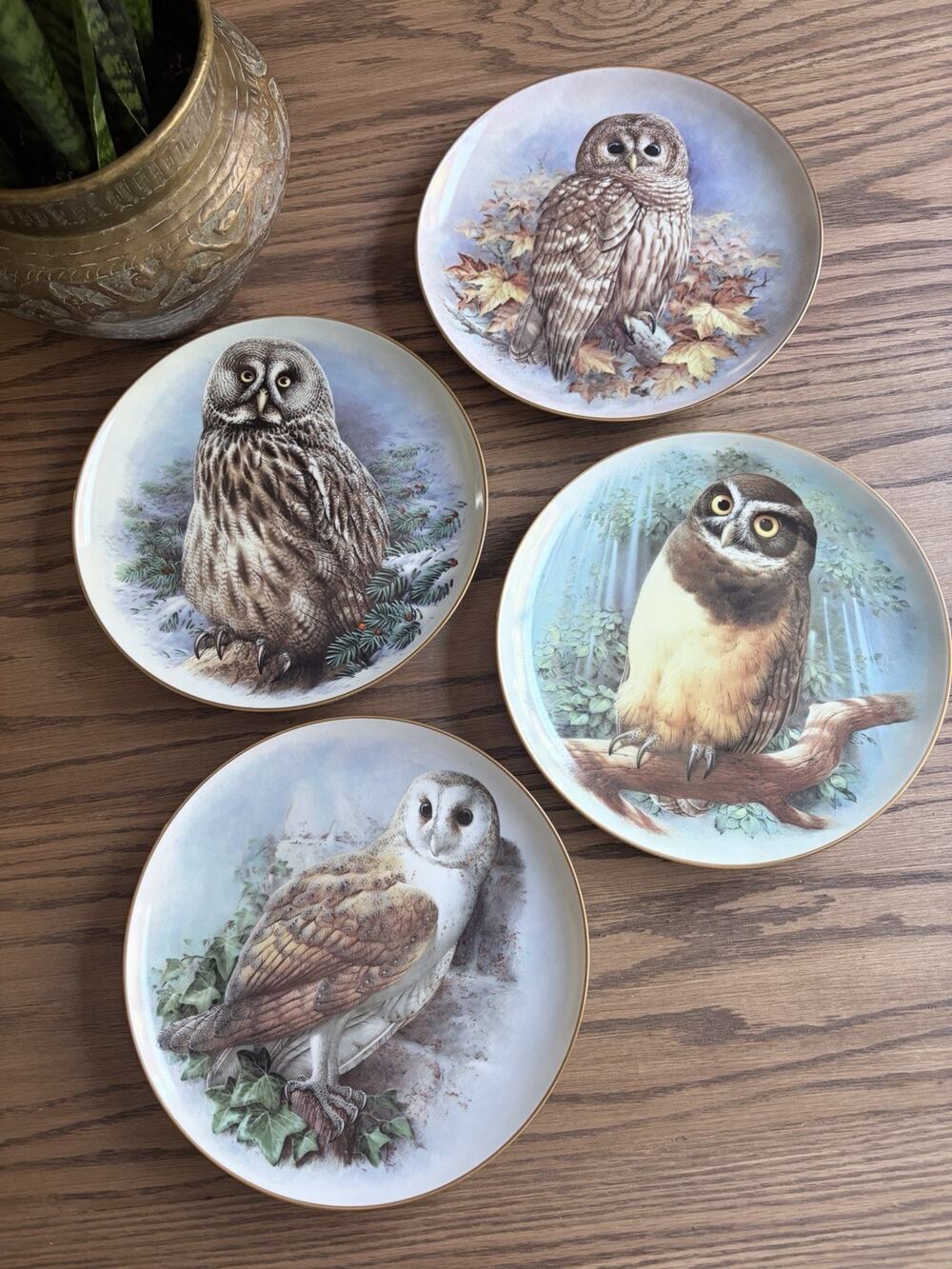 Vintage Wall Hanging Plates Owl Plates Danbury Mint Plates Wedgwood Set Of 4
